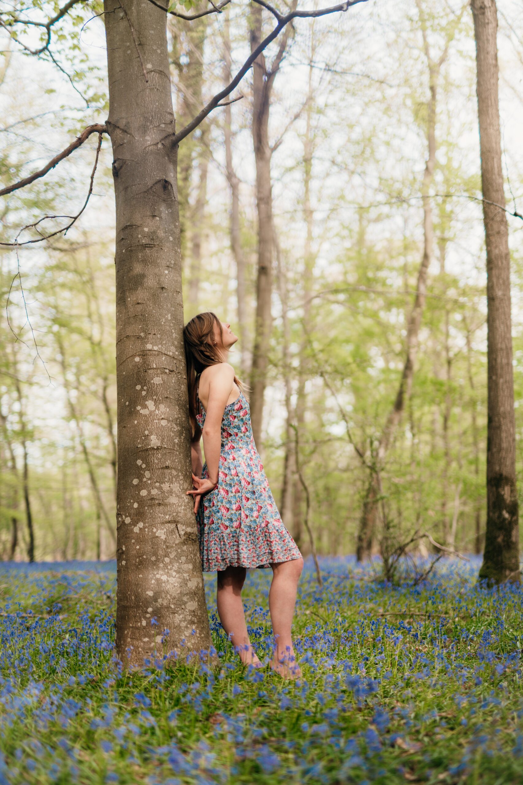 Julia appuyée contre un arbre, regarde vers le haut